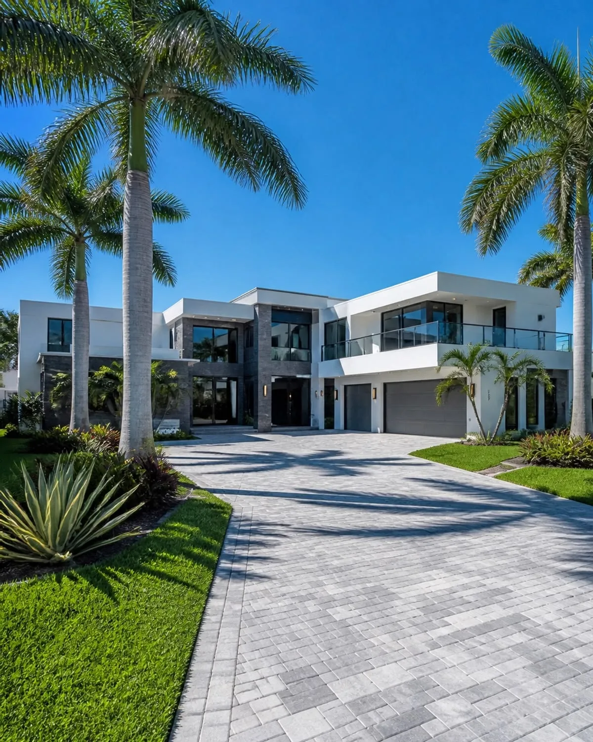 Modern luxury villa with palm trees